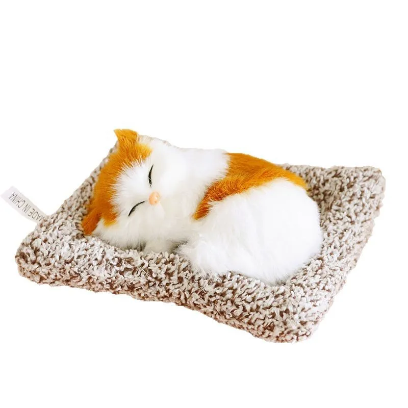 Маленький бамбуковый угольный кот - Фотография_5