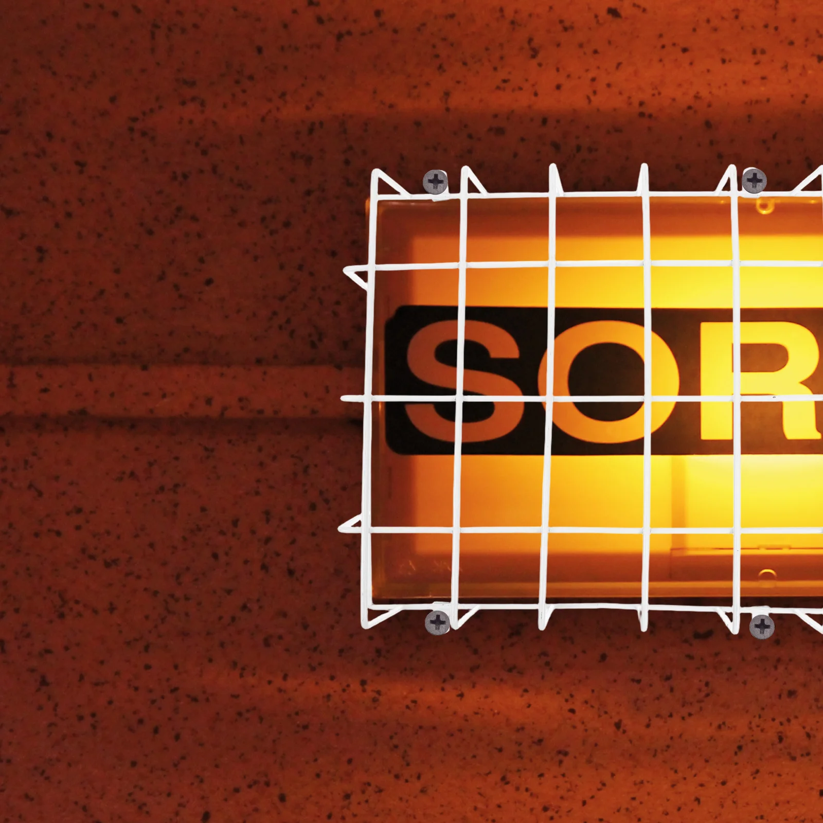 Защитная клетка для знака выхода - Фотография_4