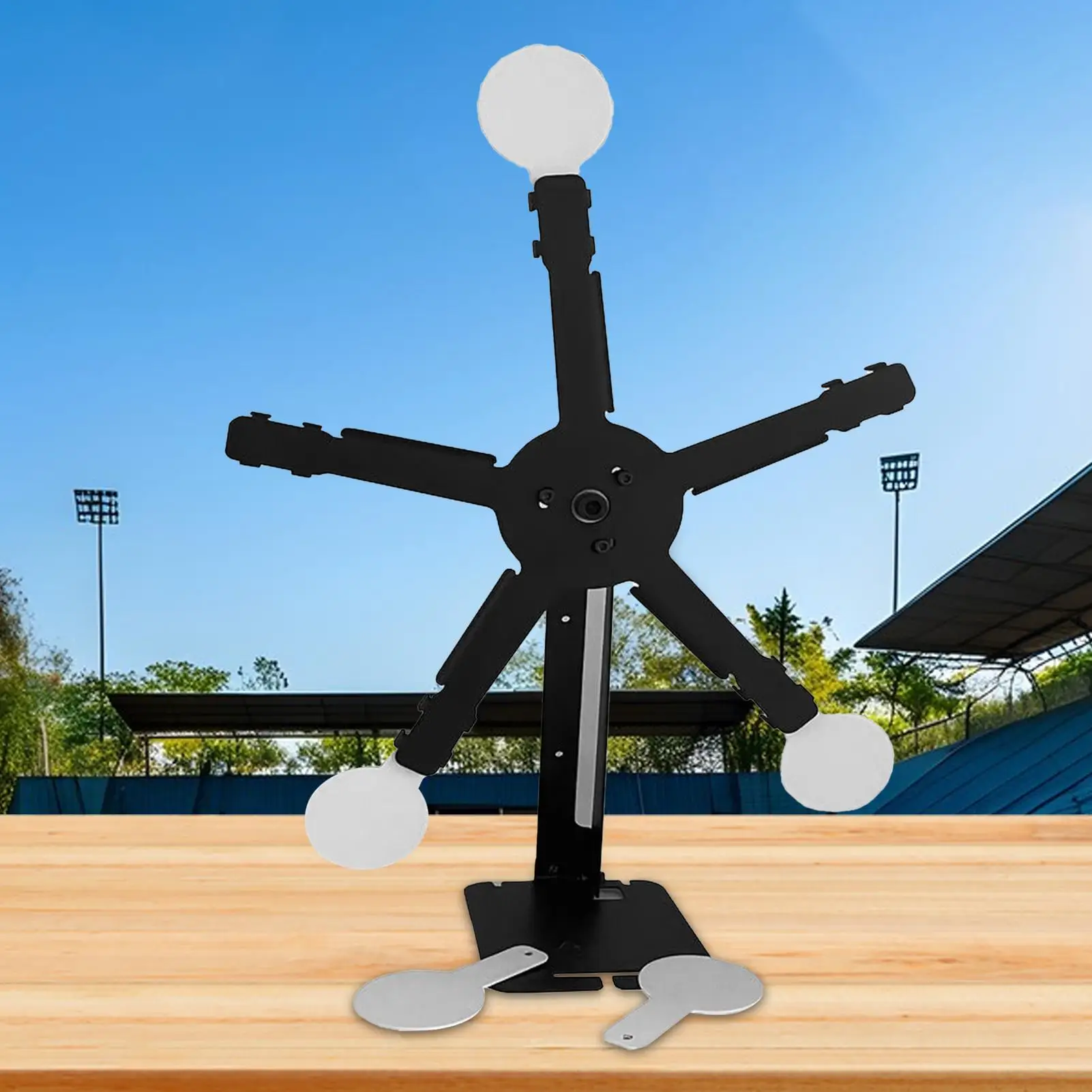 Магнитная мишень с колесом обозрения - Фотография_3