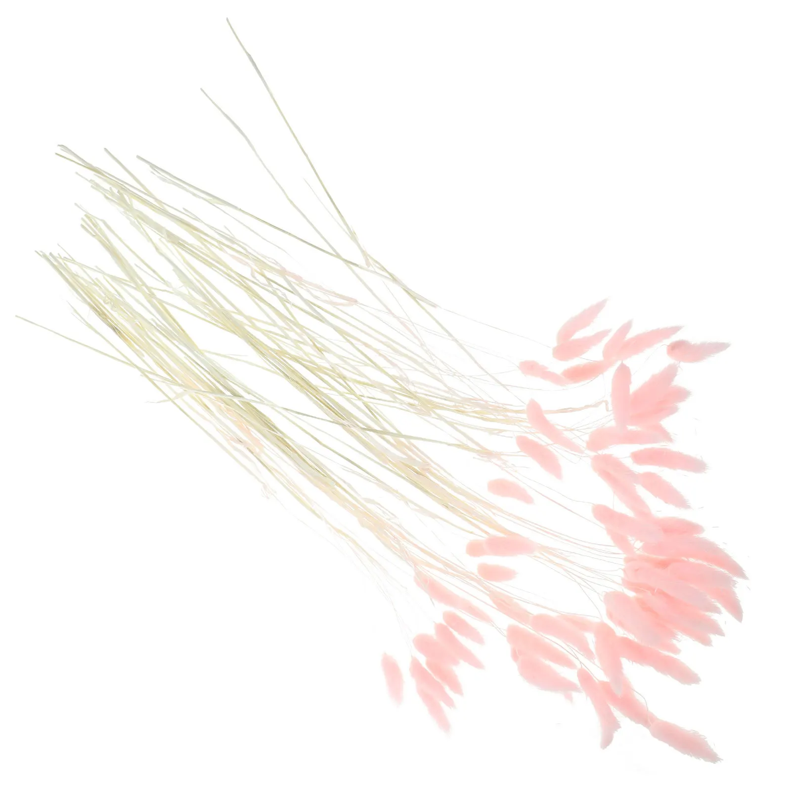 Натуральная сушеная трава с кроличьим хвостом - Фотография_2