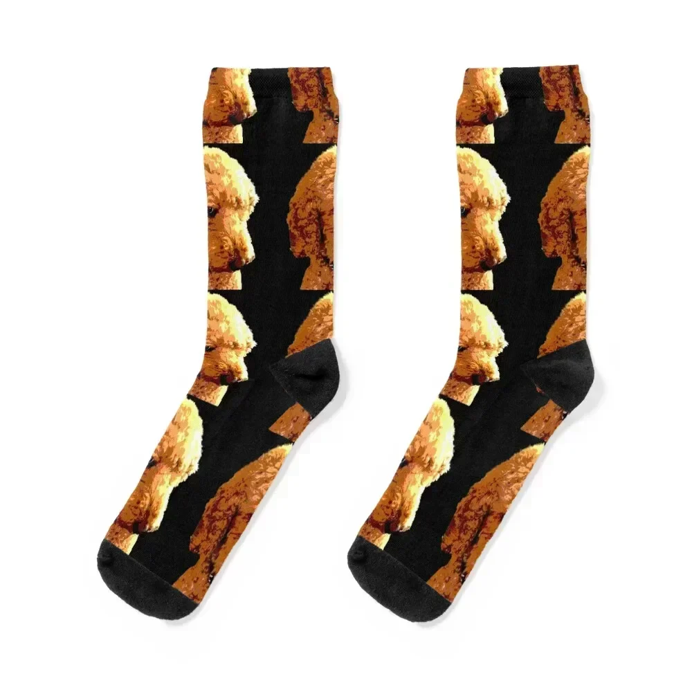 Черные носки red poodle