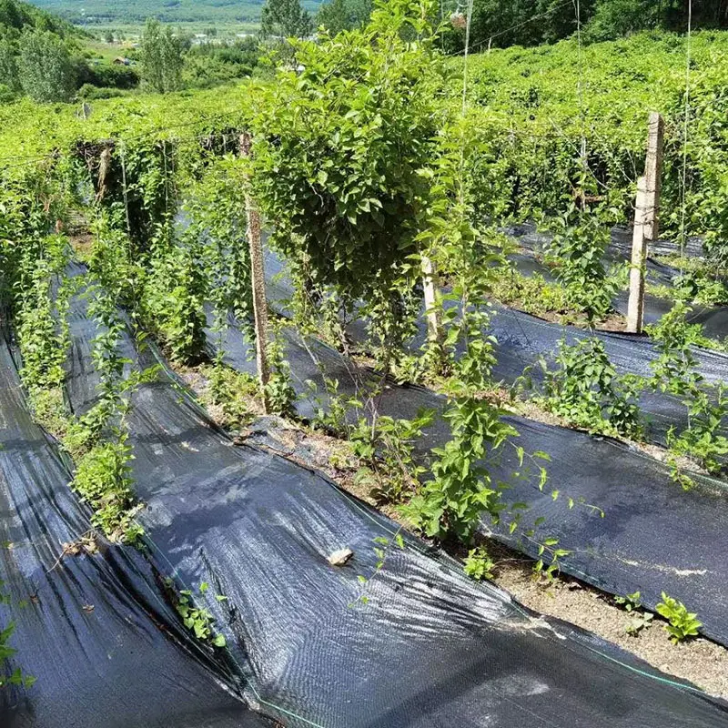 Черный пластиковый садовый коврик - Фотография_5