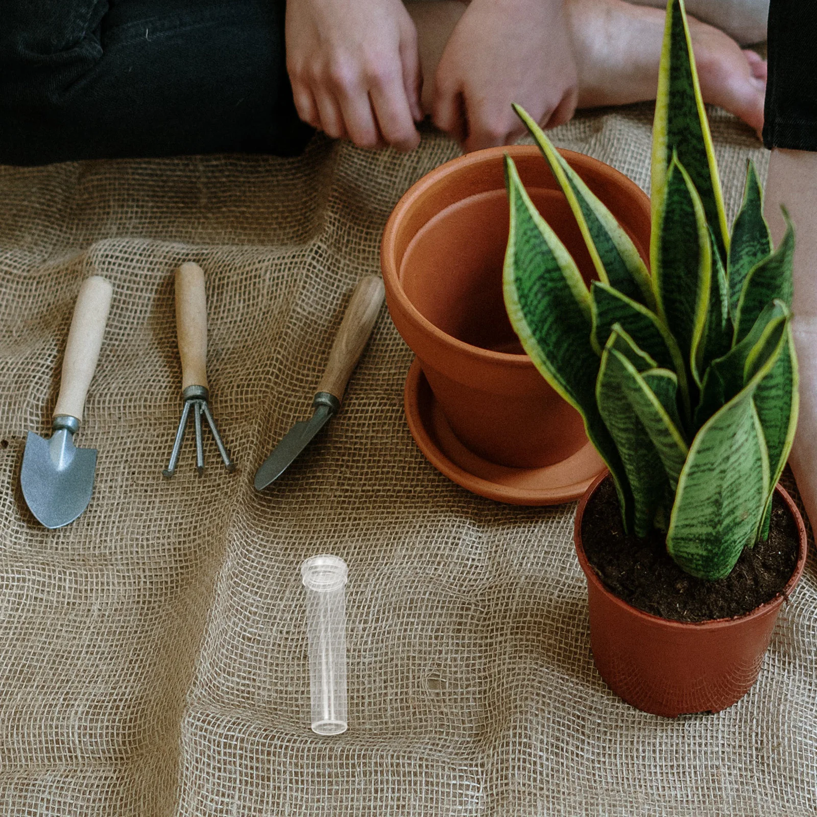 Пластиковая цветочная трубка для воды - Фотография_3