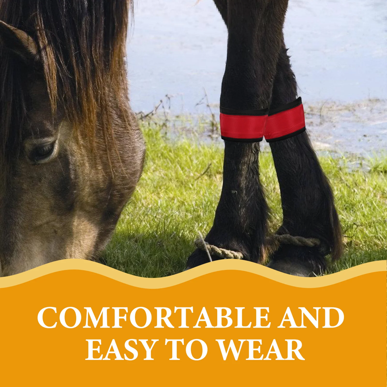 Светодиодные ленты для ног лошади - Фотография_5