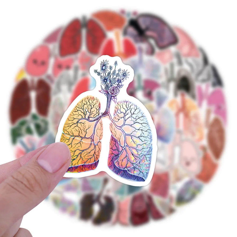 Стикеры с рисунком органов и легких - Фотография_3