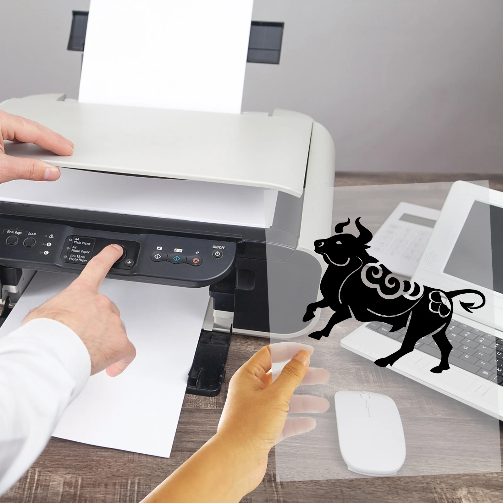 Прозрачная пленка для печати - Фотография_3