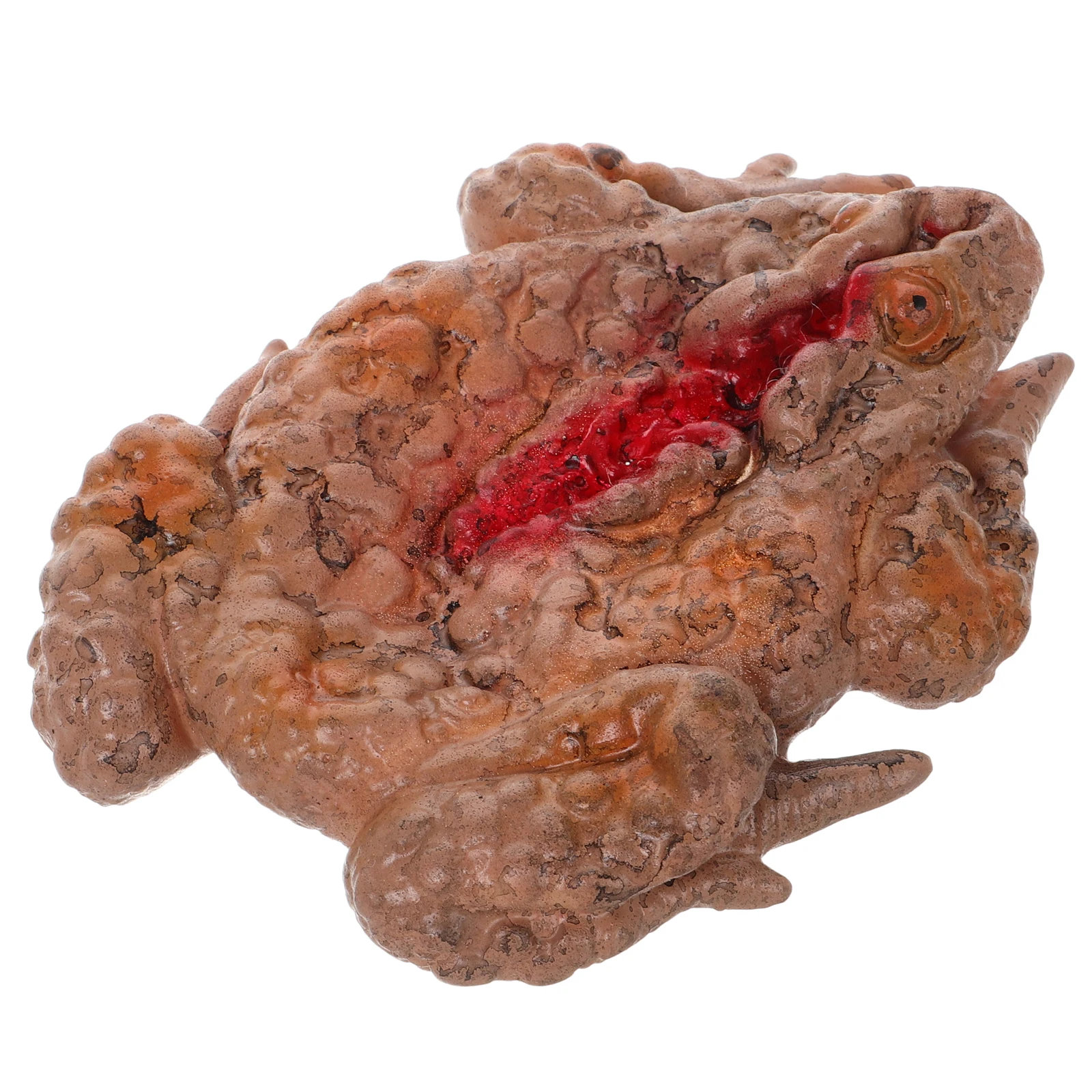 Страшный лоток для жабы - Фотография_5