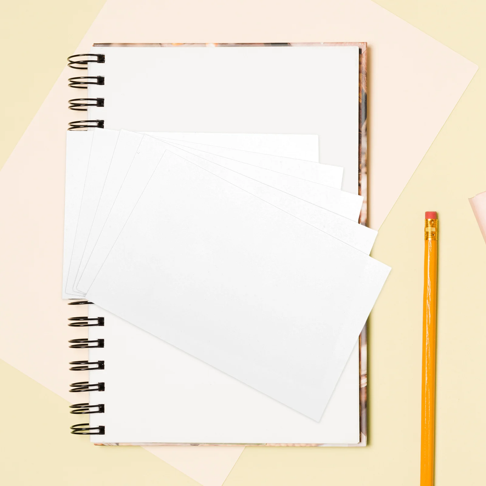 Пустой белый картон - Фотография_5