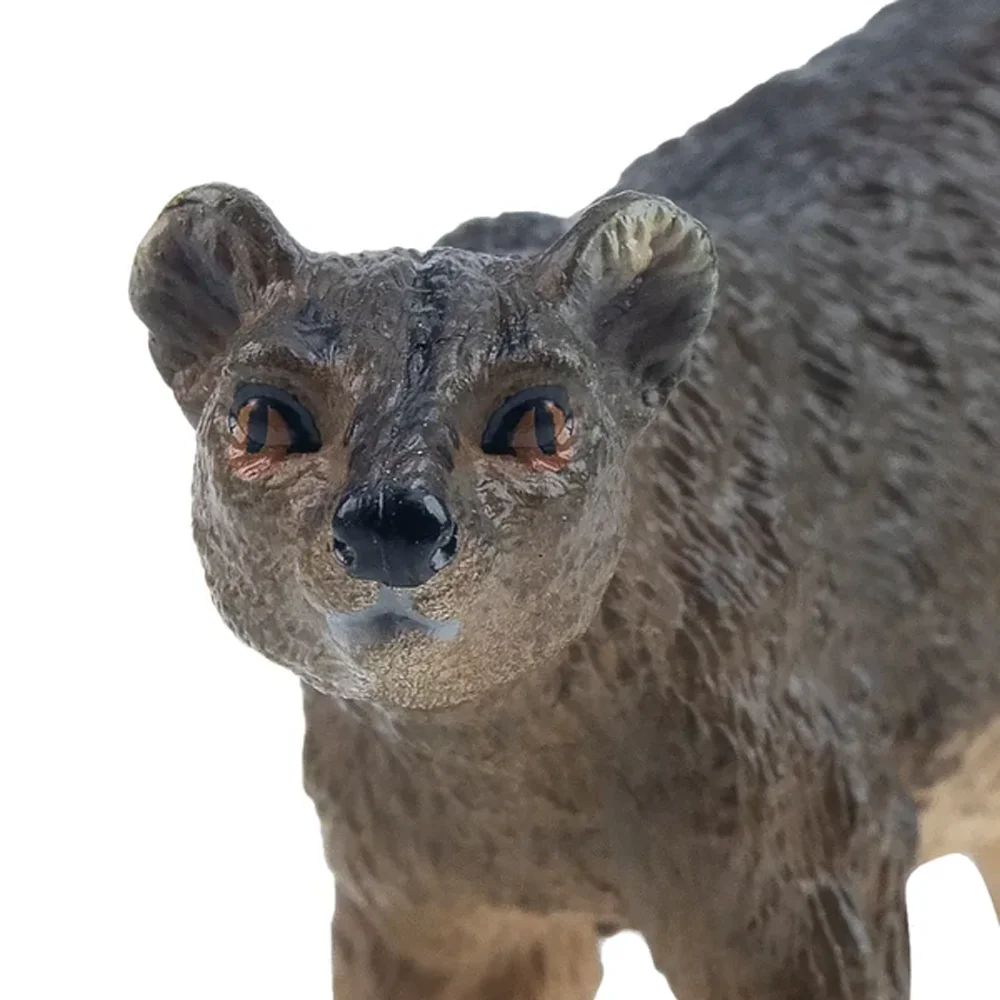 Toymany моделирование fossa мадагаскар - Фотография_5