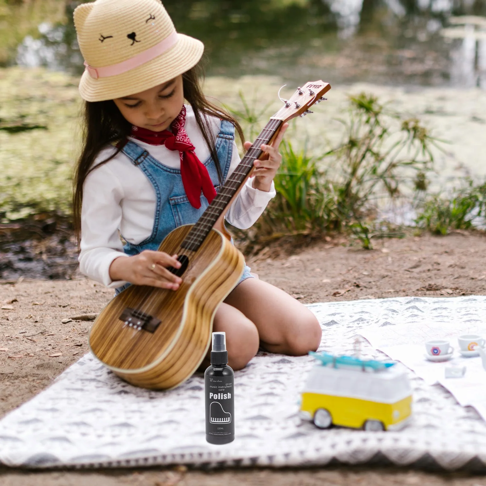 Профессиональный очиститель музыкальных инструментов - Фотография_3