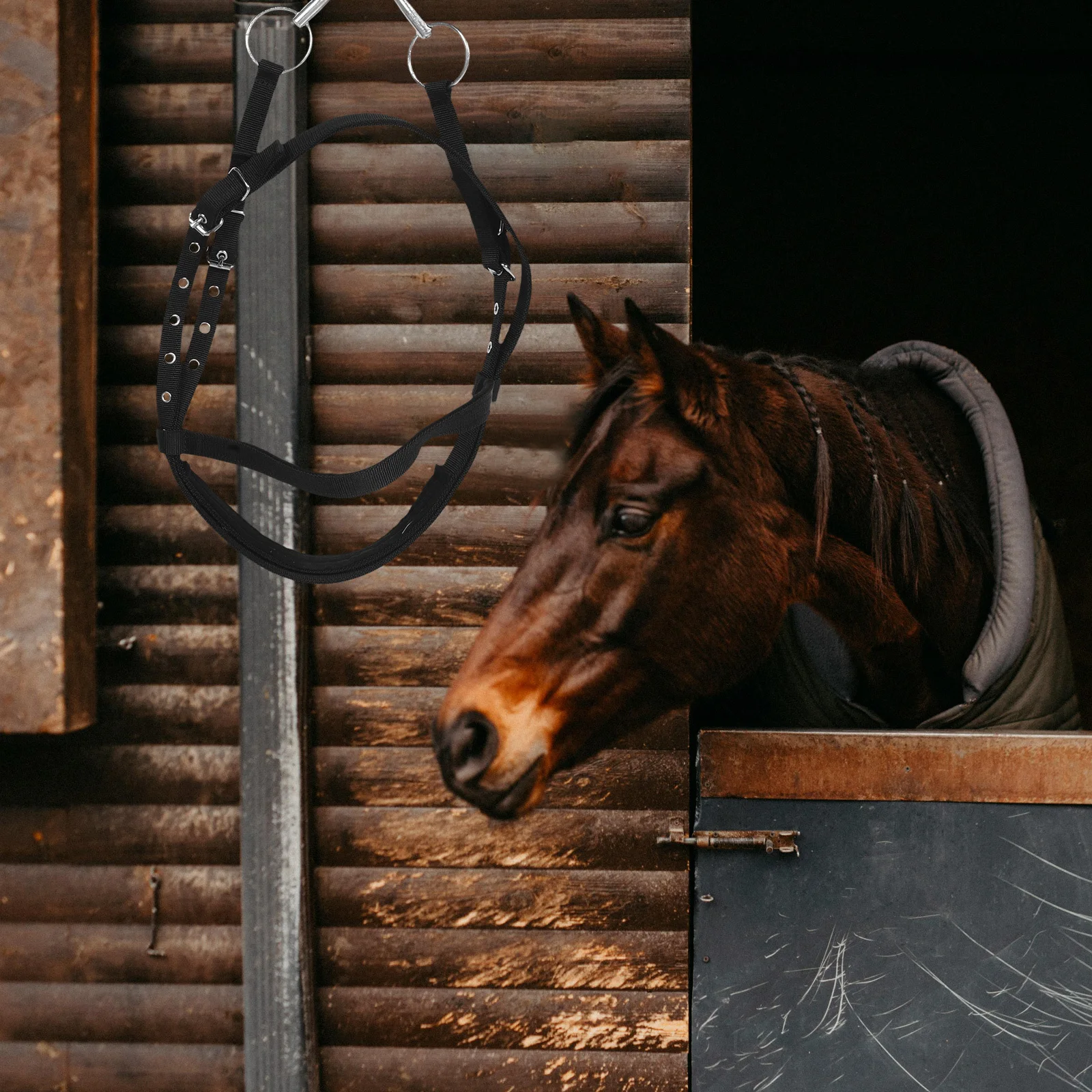 Большой нейлоновый веревочный недоуздок - Фотография_5