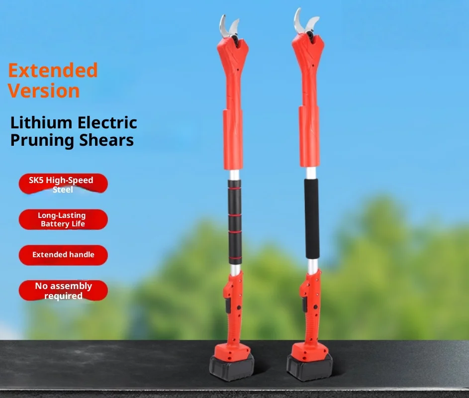 Садовые фруктовые деревья - Фотография_2