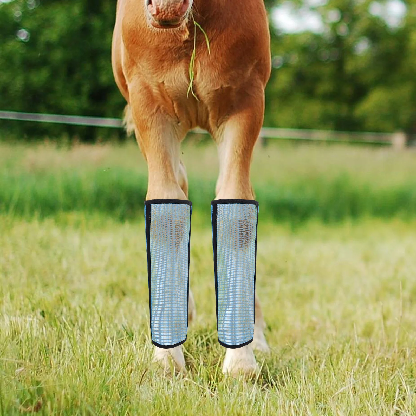 Ботинки с дышащей сеткой - Фотография_2