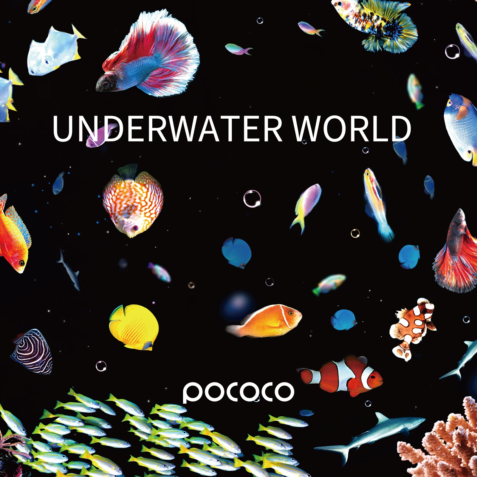 Диски aurora и deep sea-диски для проектора pococo galaxy - Фотография_6
