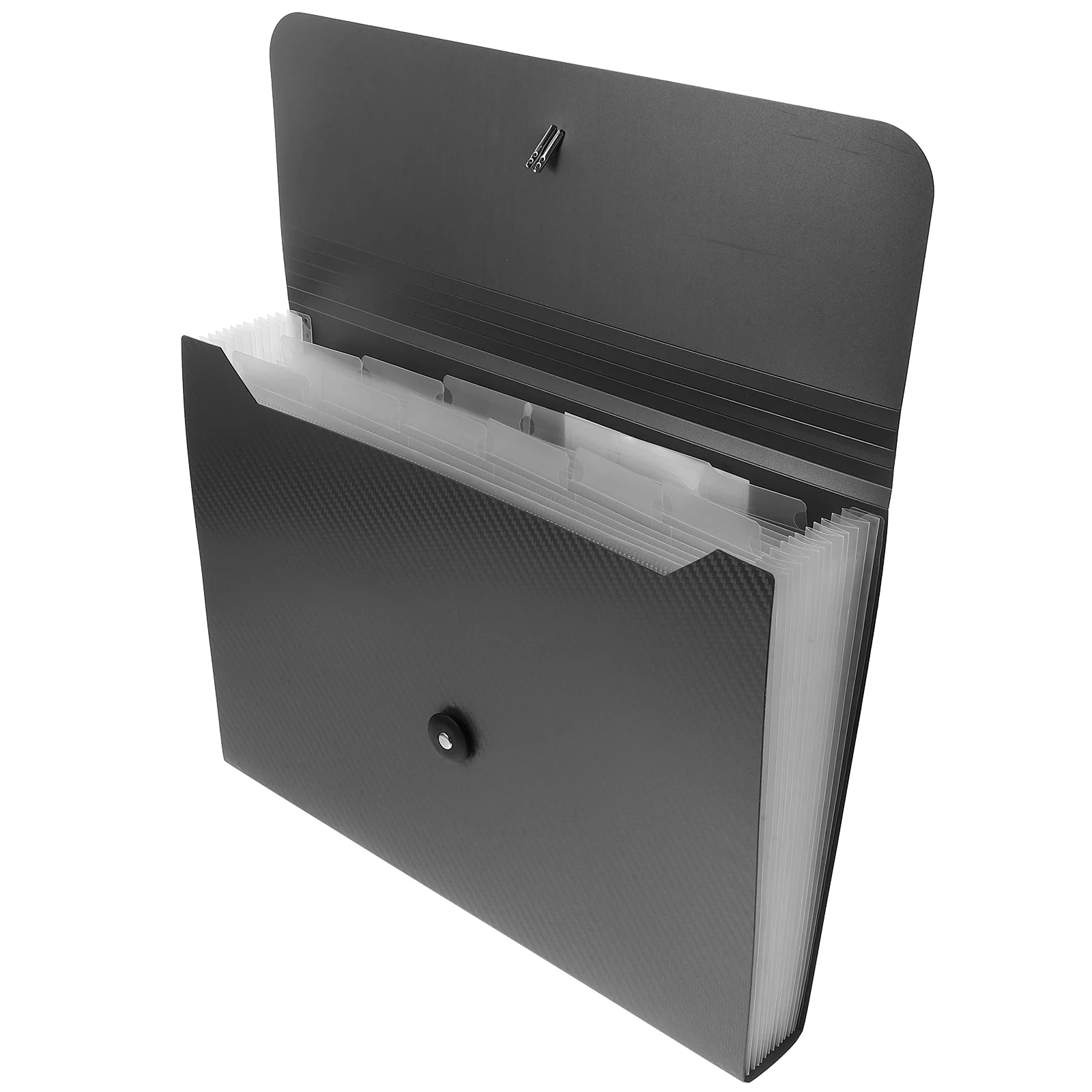 Расширяющаяся папка для файлов - Фотография_6