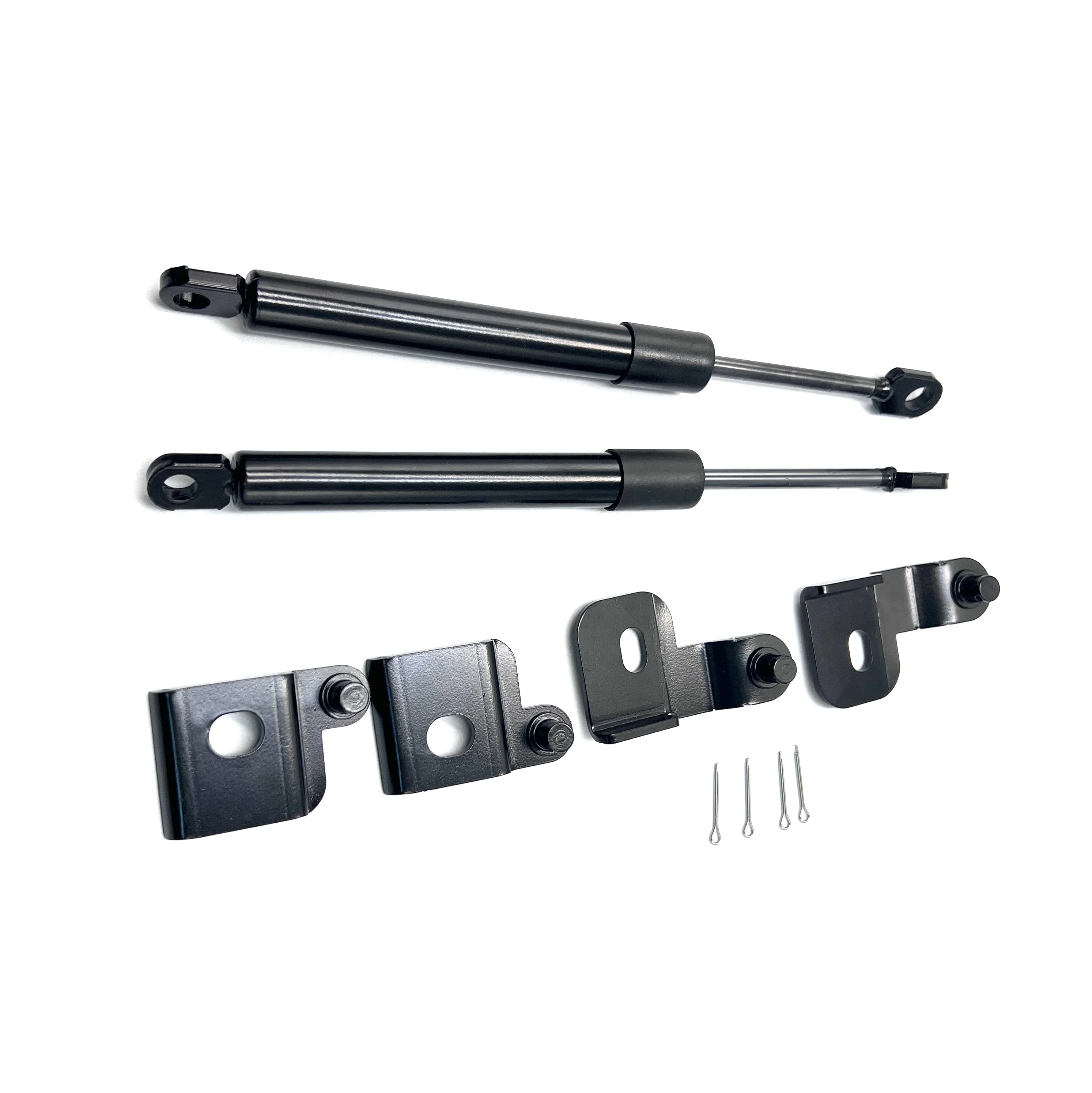 Амортизаторная стойка porta traseira assist - Фотография_2