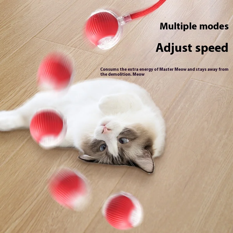 Перезаряжаемые игрушки для кошек - Фотография_3