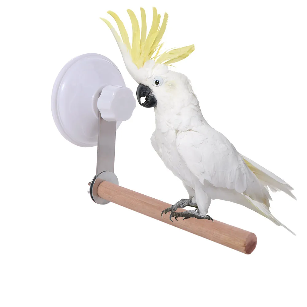 Безопасная шлифовальная машина для зубов на присоске - Фотография_3