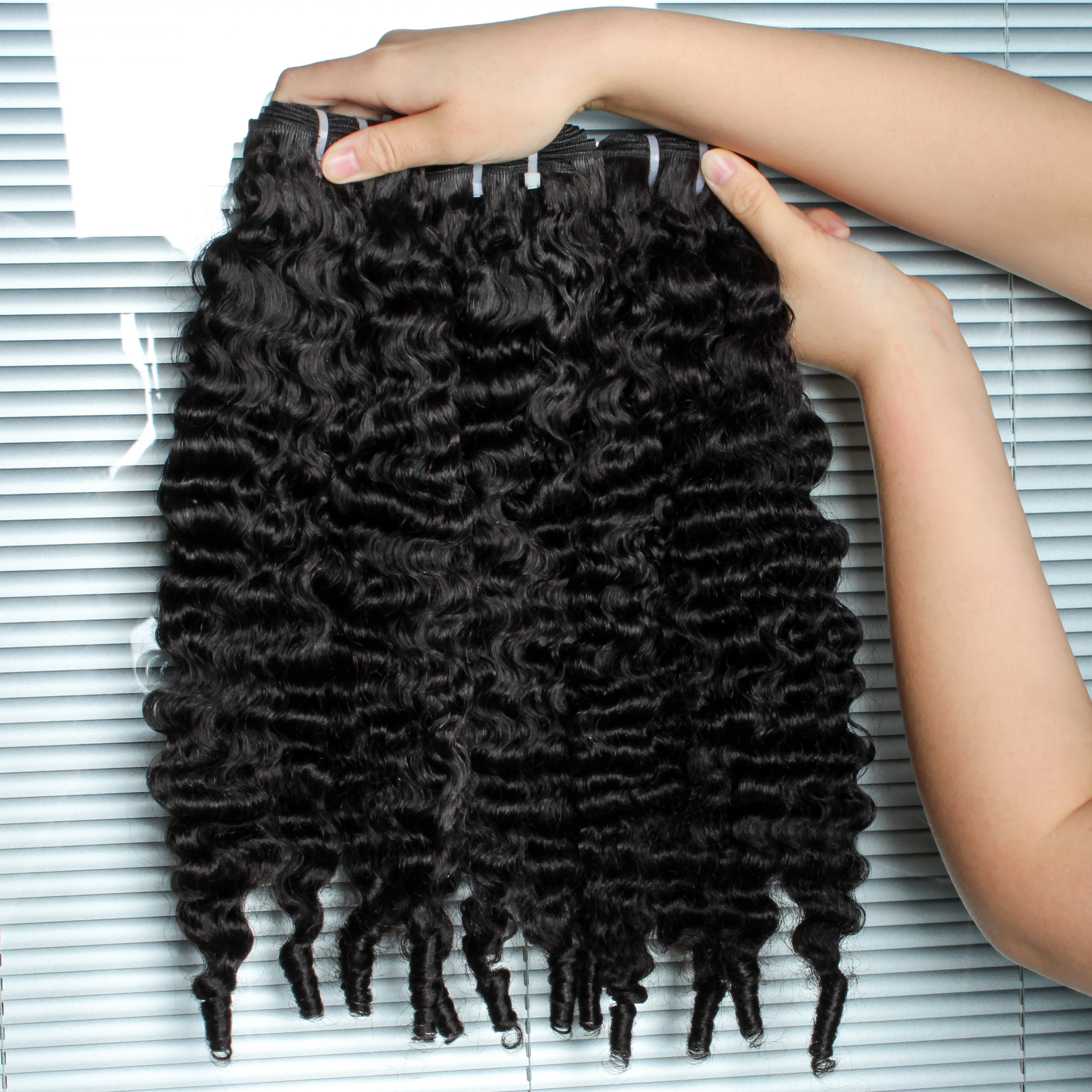 Бирманские вьющиеся пучки человеческих - Фотография_3