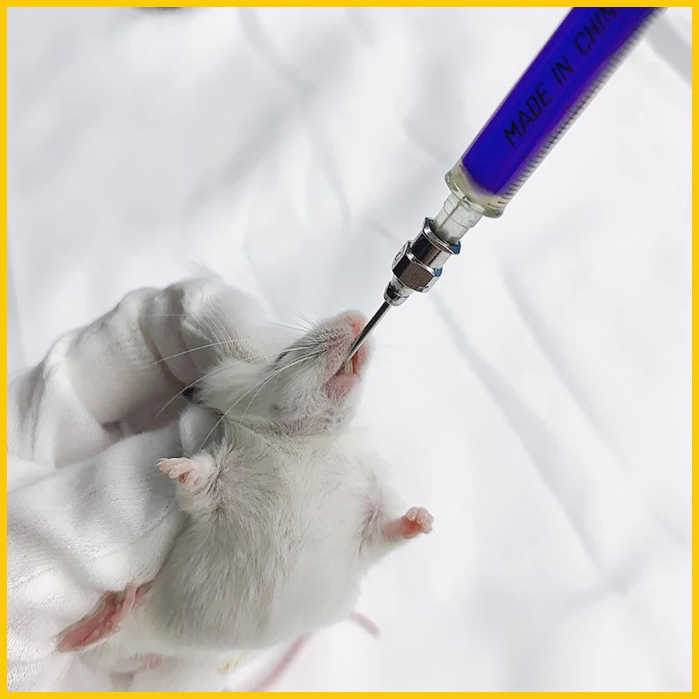 Игла для кормления крыс - Фотография_5