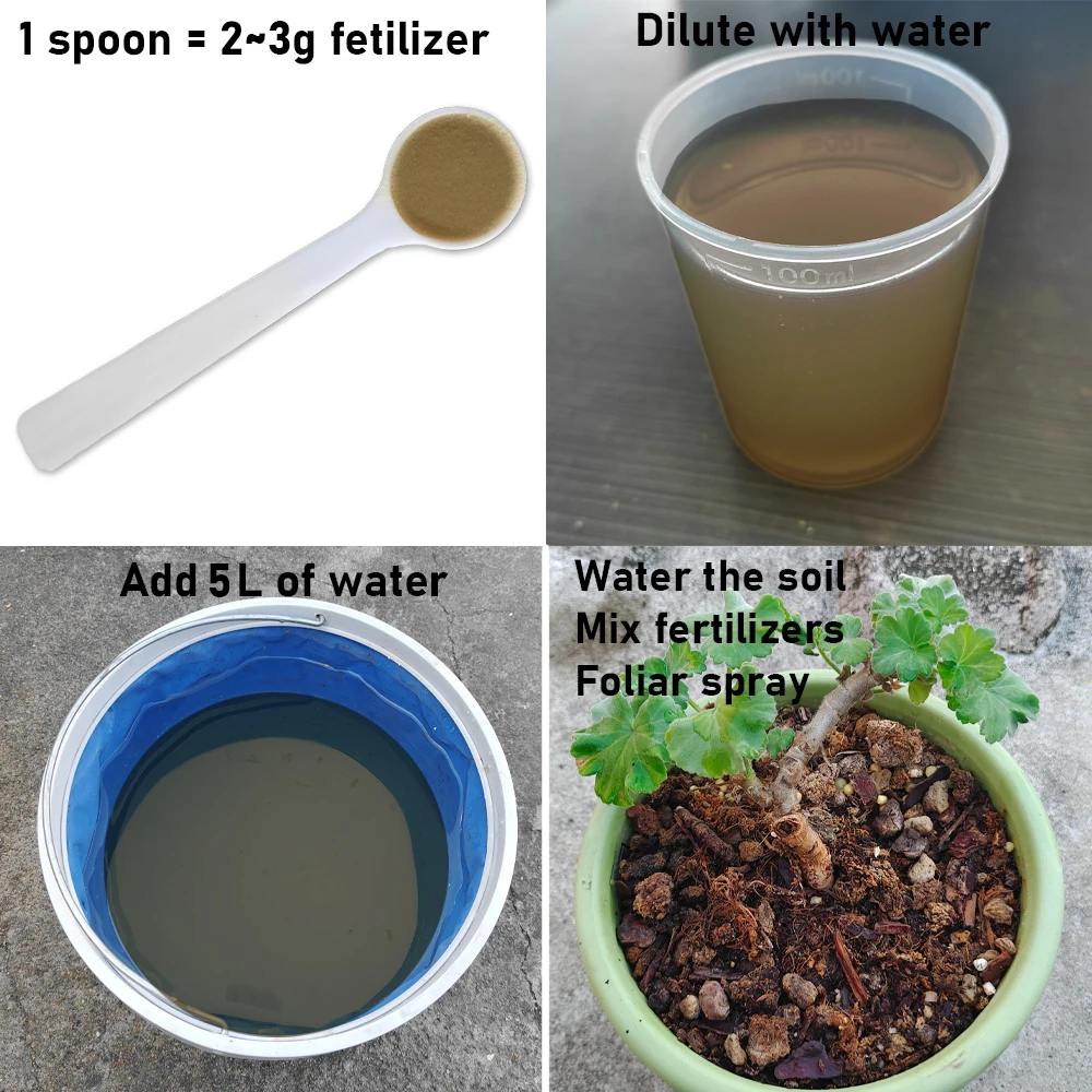 100 г bacillus subtilis 100 миллионов - Фотография_2