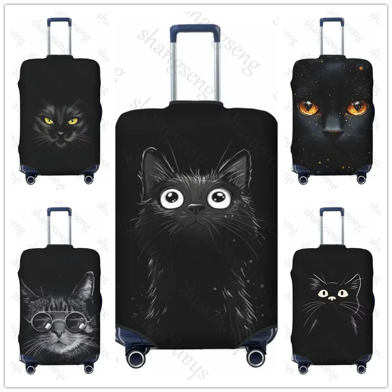 Черные кошачьи глаза - Фотография_2