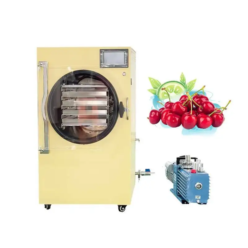 Мини-домашний лиофилизатор для фруктов и овощей lanphan для малого бизнеса - Фотография_3