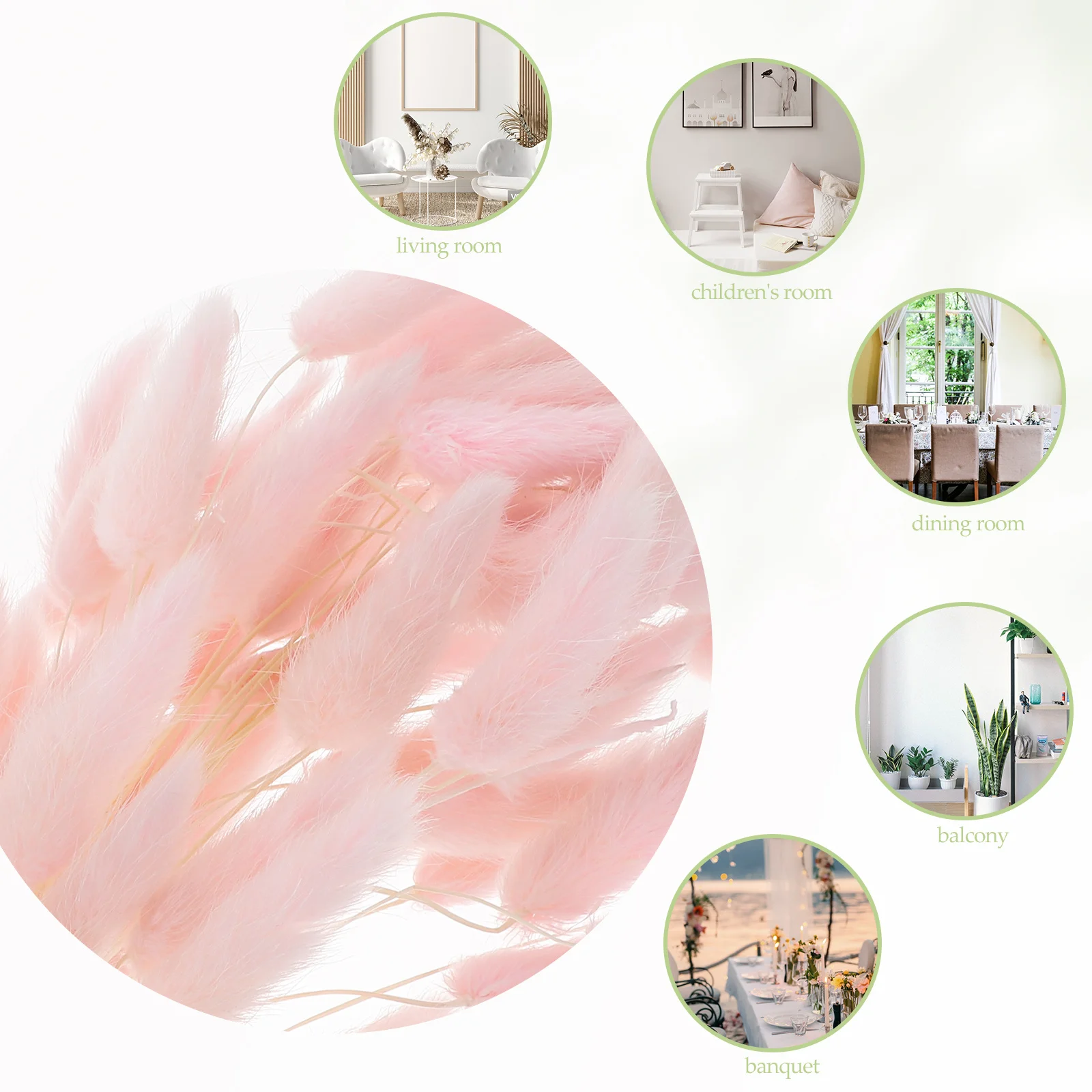 Хвост кролика, натуральные растения - Фотография_6