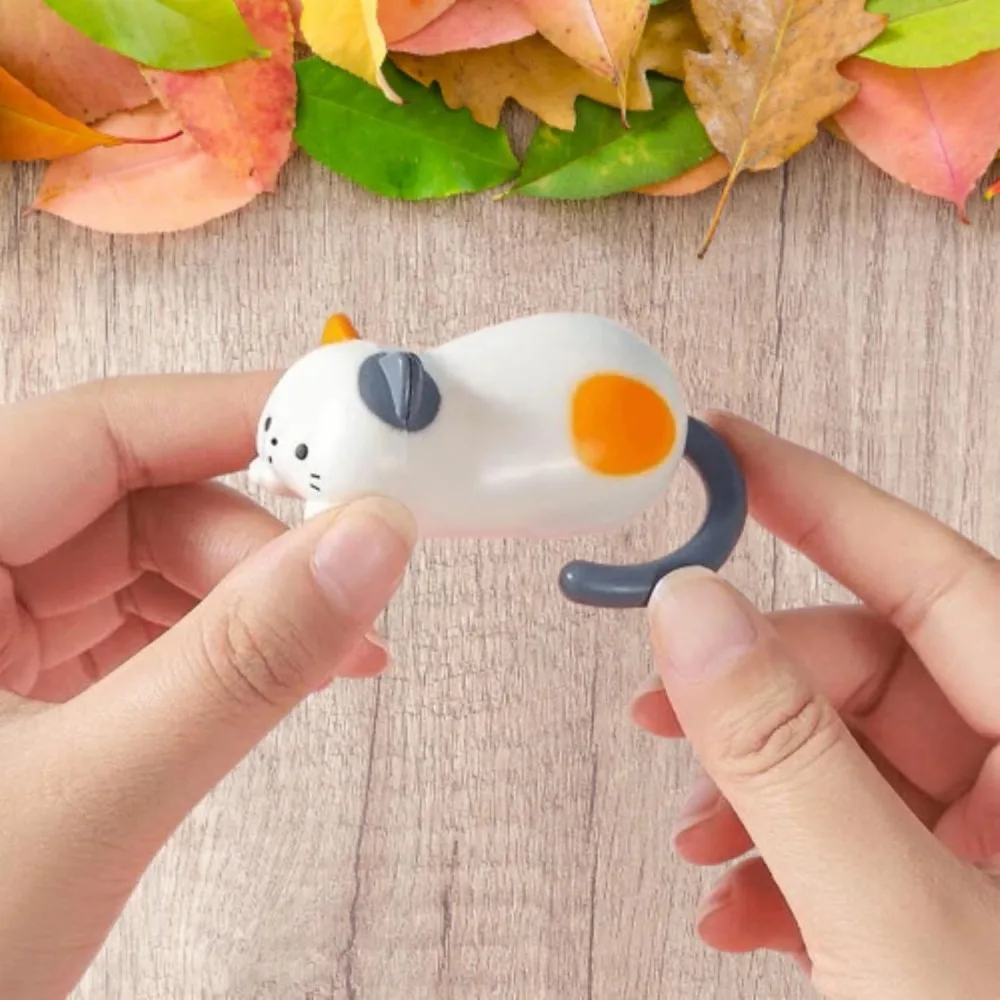 Высокое качество - Фотография_4