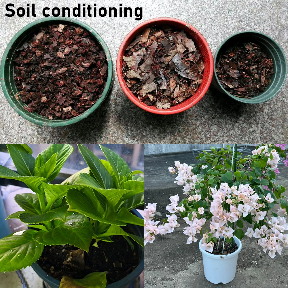 100 г bacillus subtilis 100 миллионов - Фотография_4