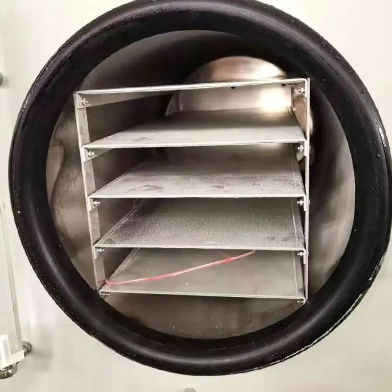 Вакуумная домашняя сублимационная сушилка для пищевых продуктов - Фотография_4