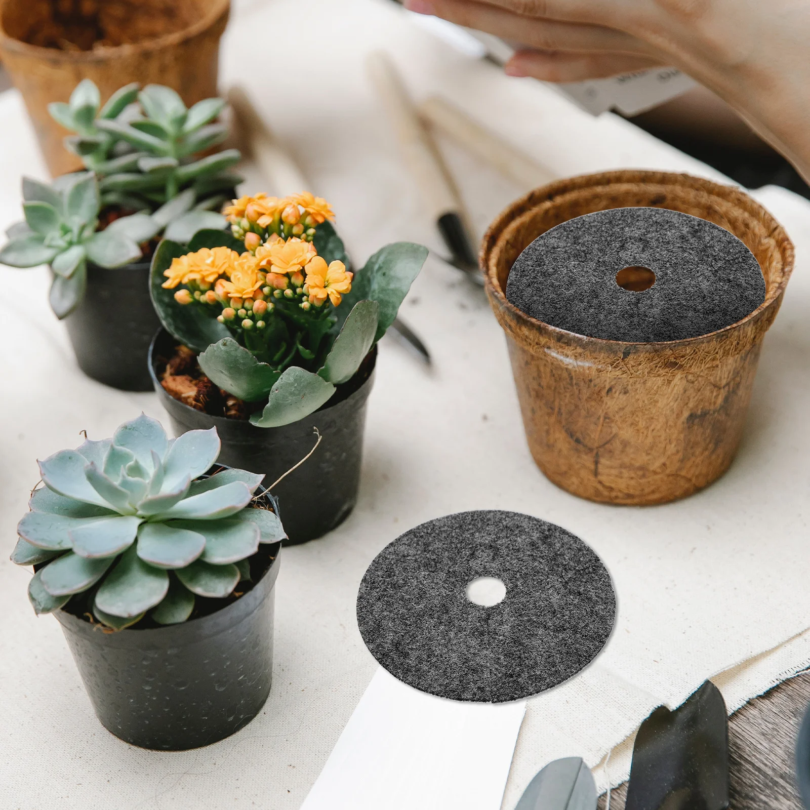 Садовая барьерная ткань - Фотография_3