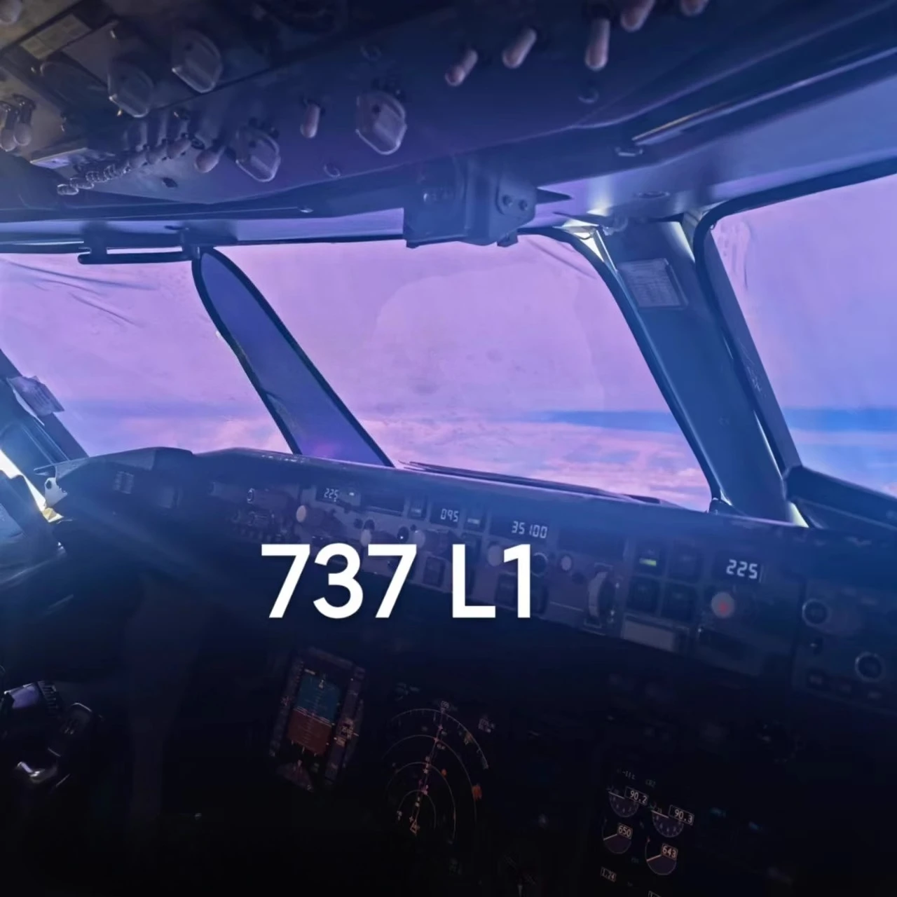 Солнцезащитный козырек boeing b737 - Фотография_3