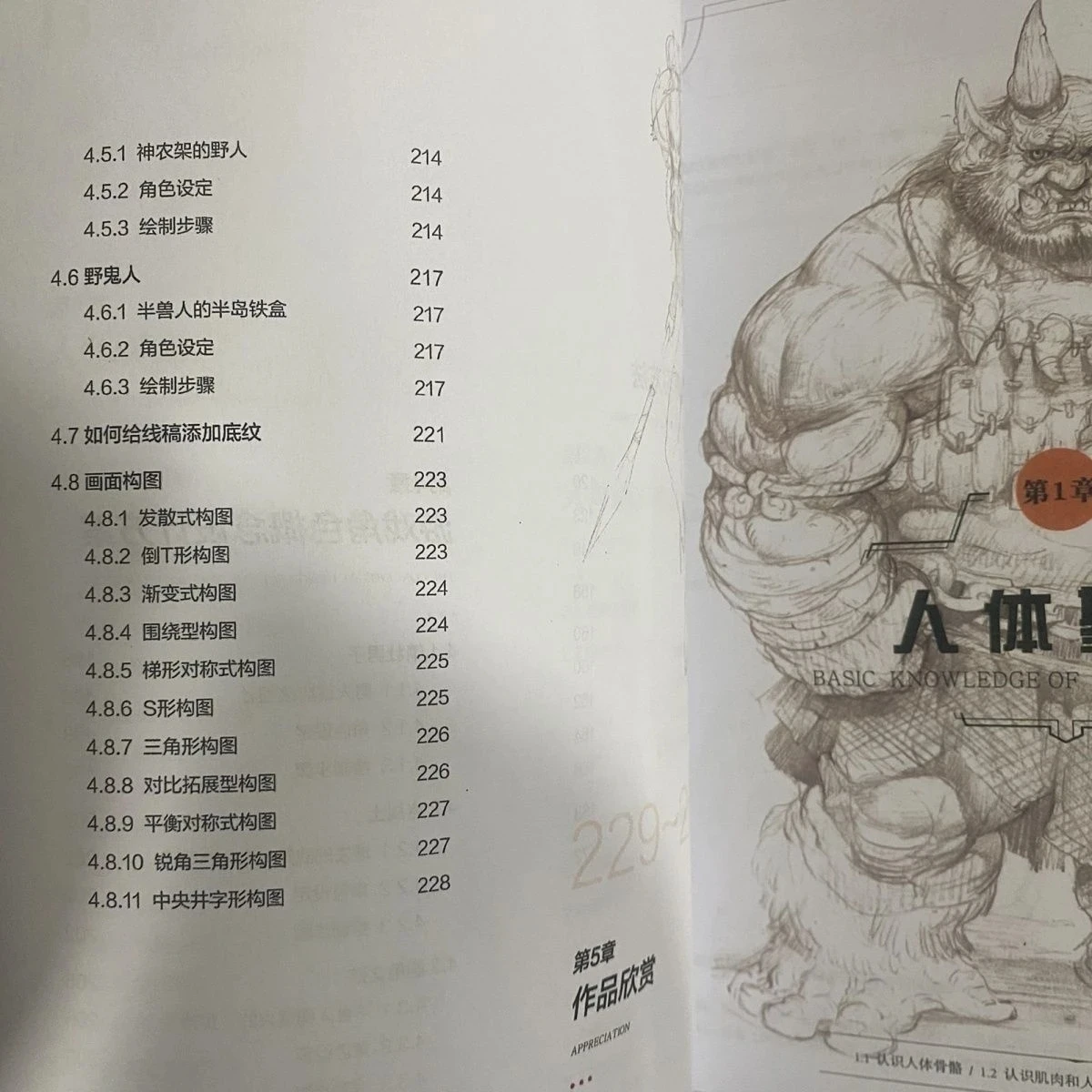 Анатомия человека для художников - Фотография_6