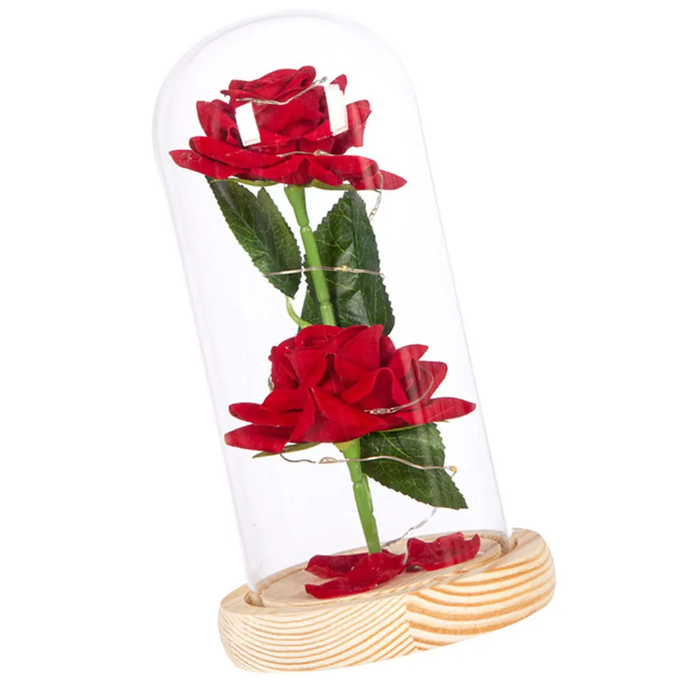 Изысканный стеклянный купол - Фотография_5