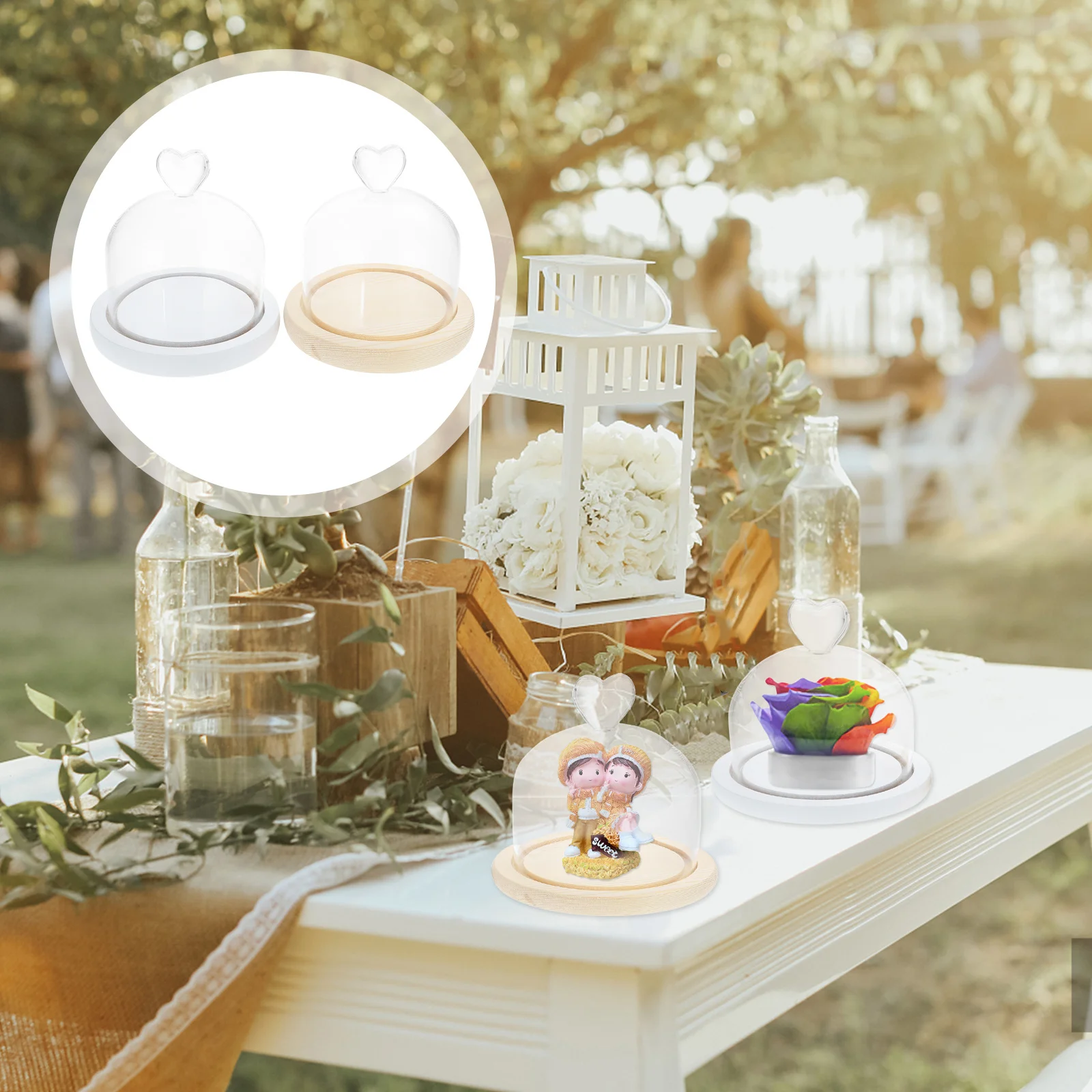 Стеклянная крышка с бессмертным цветком - Фотография_3