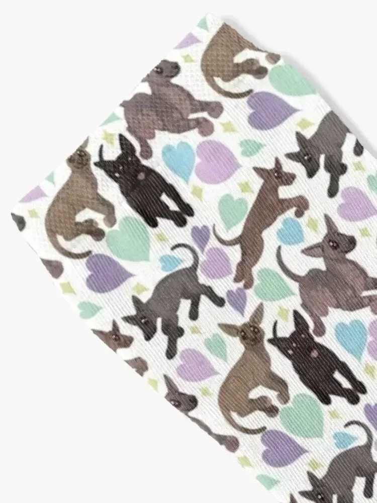 Xoloitzcuintle носки для гольфа - Фотография_2