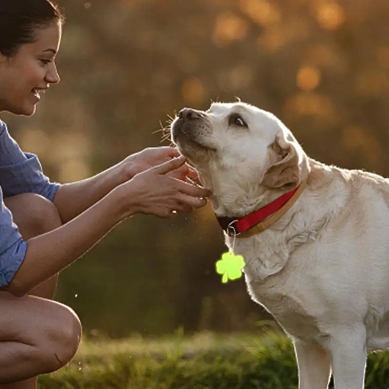 Светоотражающий рюкзак - Фотография_4