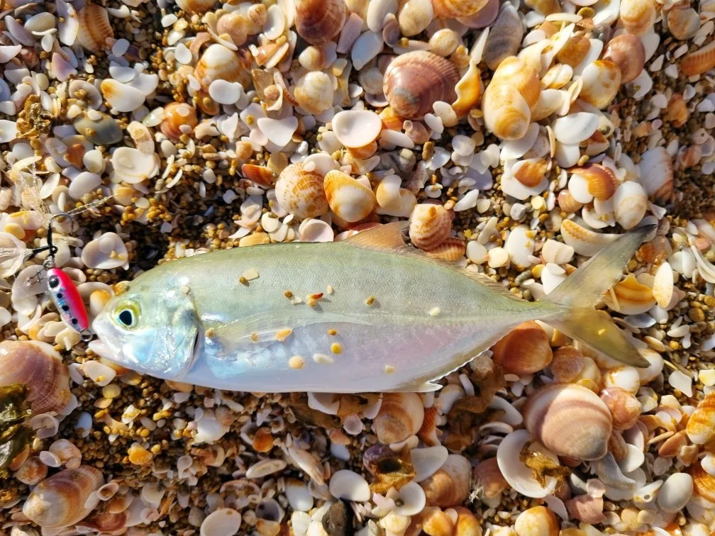 Fstk micro jig shore casting jigging spoon 3 - Фотография_2