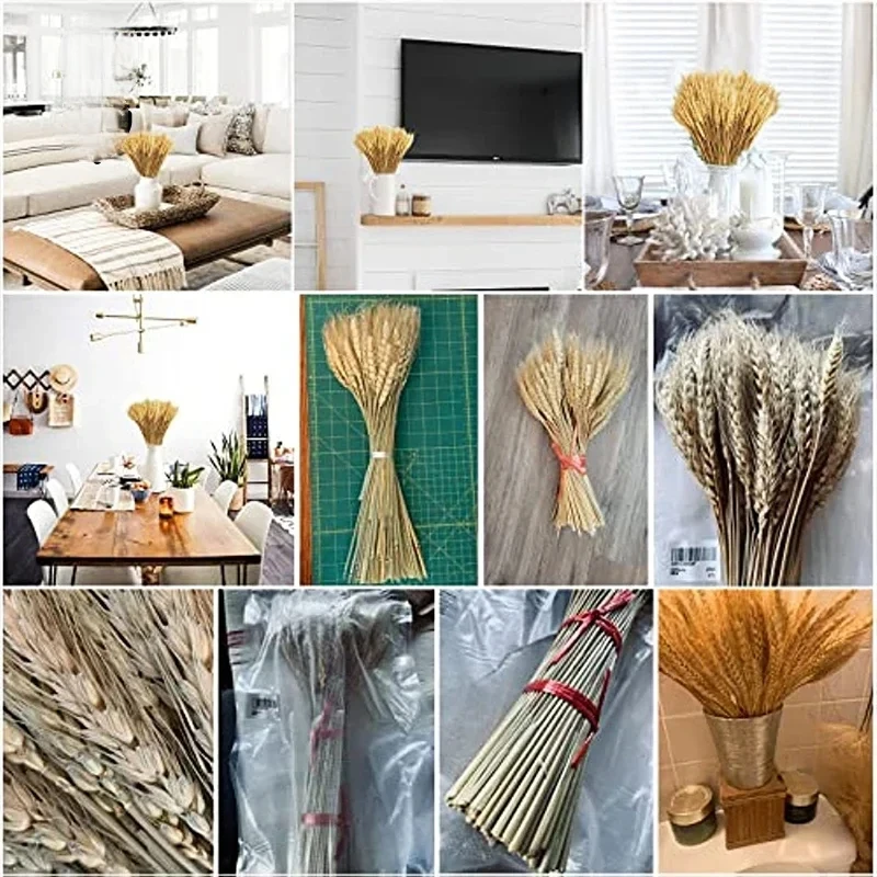 Сушеные цветы натуральные стебли - Фотография_6