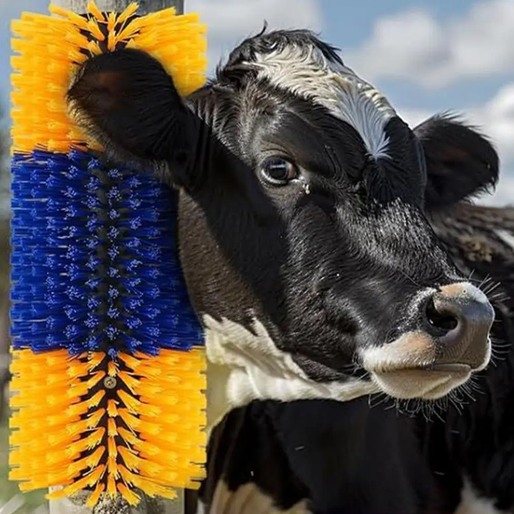 Щетки для царапин для скота - Фотография_3