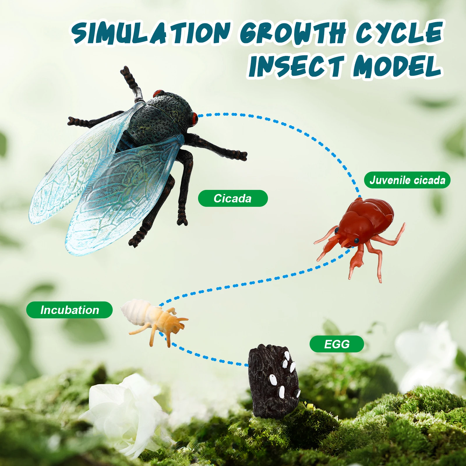 Научное образование - Фотография_2