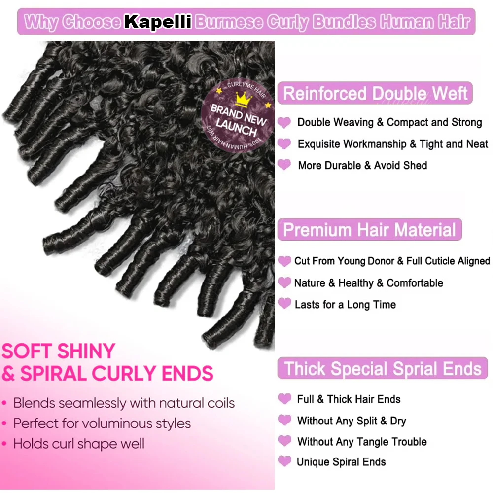 Бирманские вьющиеся пучки человеческих - Фотография_5