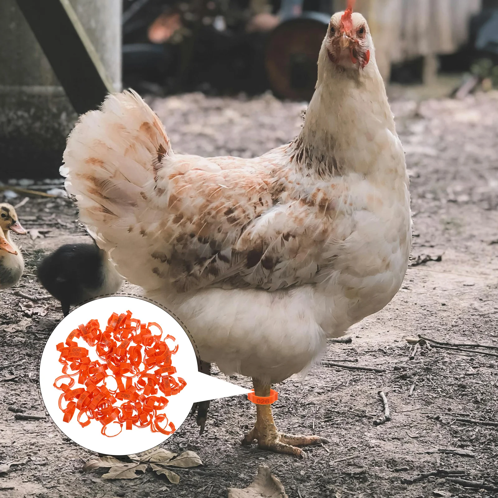 Ленты для куриных ножек