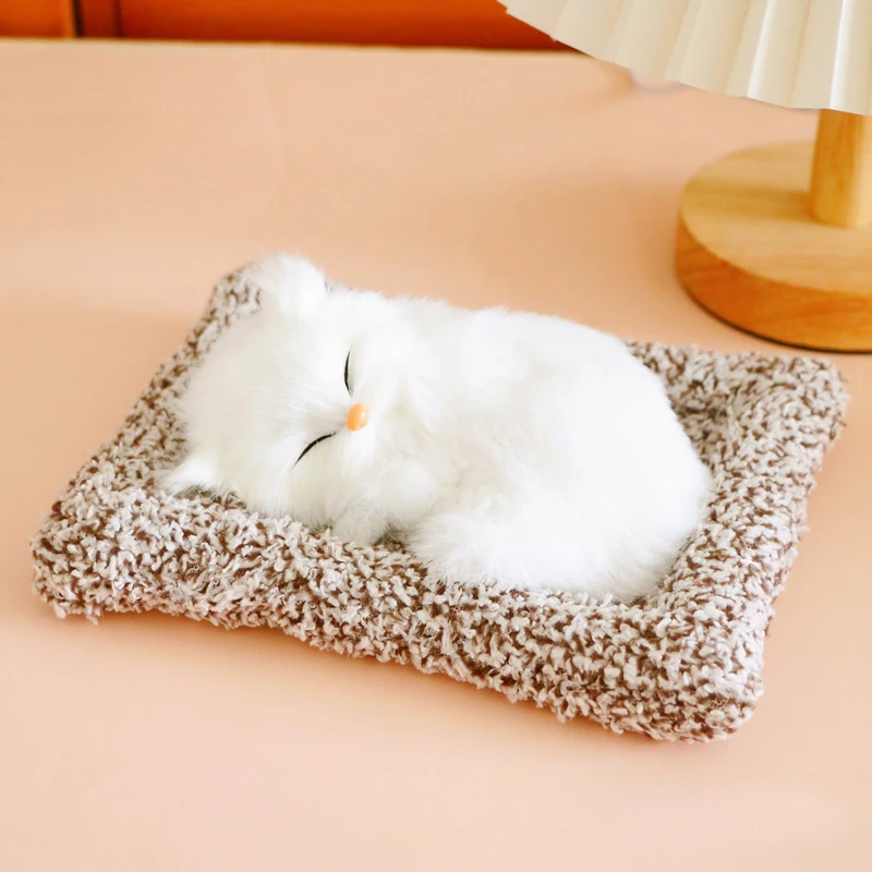 Маленький бамбуковый угольный кот - Фотография_3