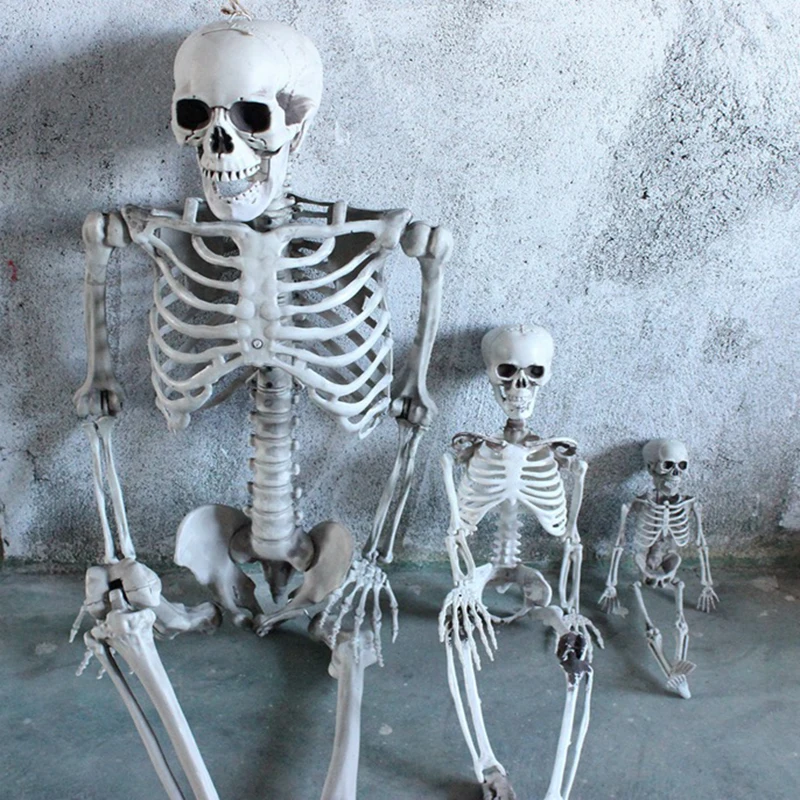 40 см, 90 см, 170 см - Фотография_2