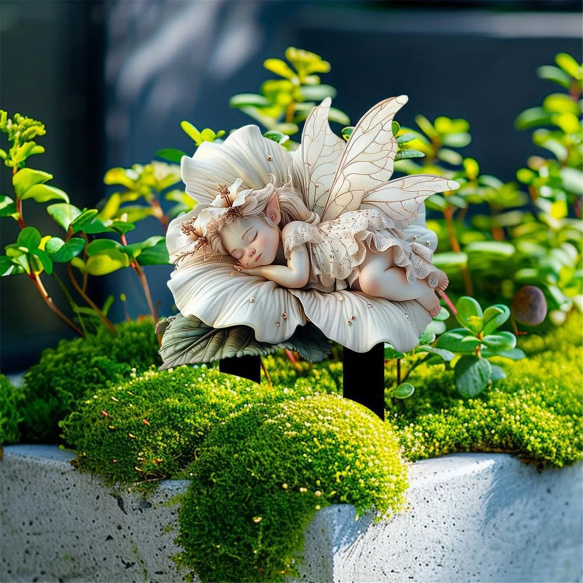 A71p белый лотос сказочный садовый - Фотография_5