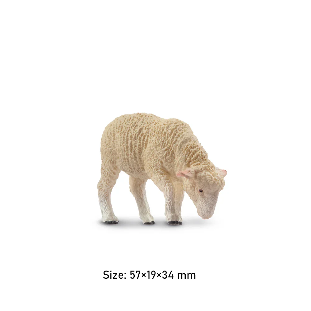 Toymany моделирование сбора белого - Фотография_3