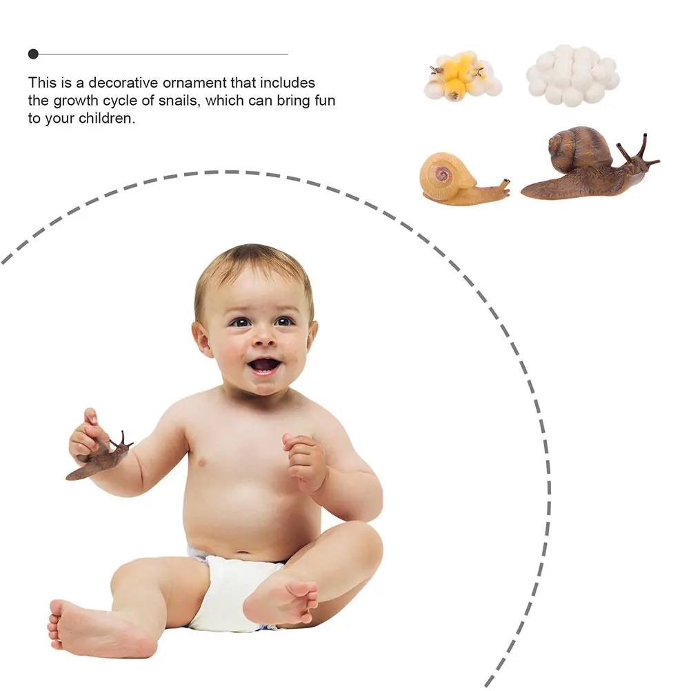 2 компл., цикл роста улитки - Фотография_3