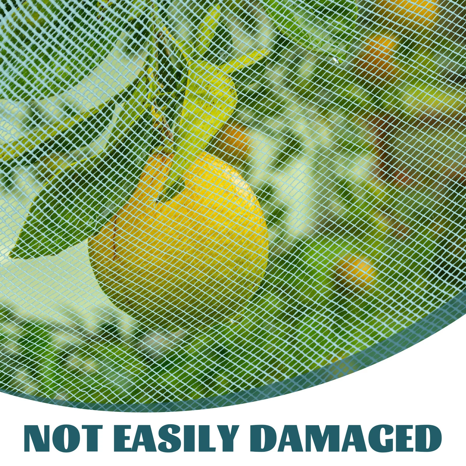 Зеленая ультратонкая сетка - Фотография_2